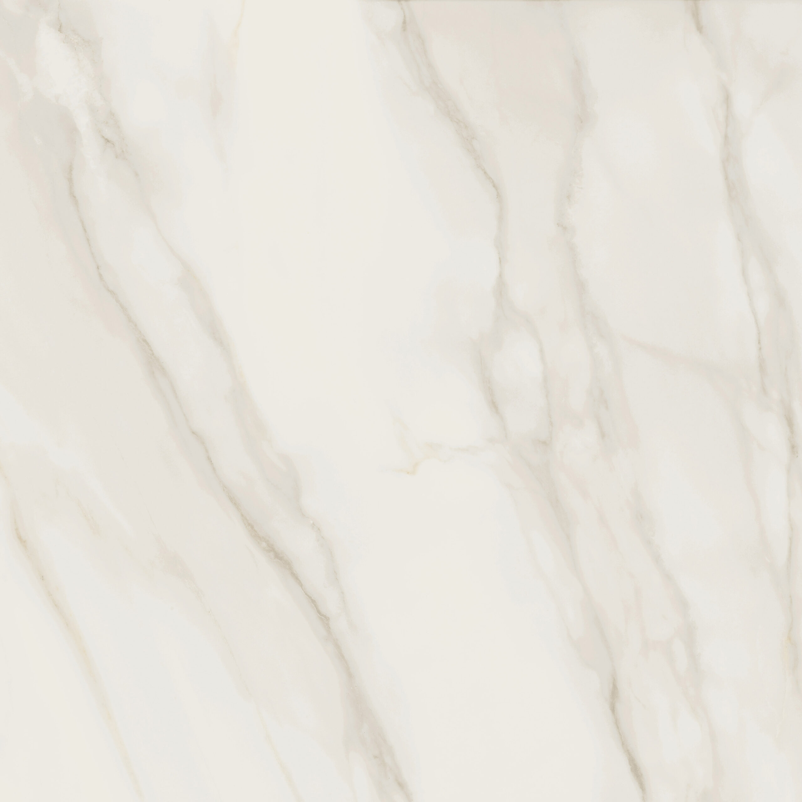 Tile Image