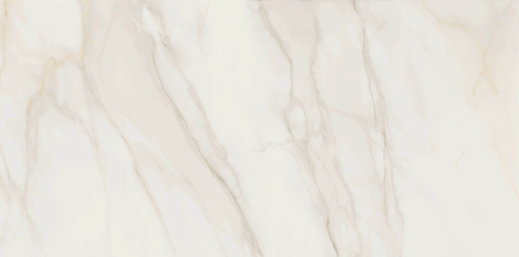 Tile Image