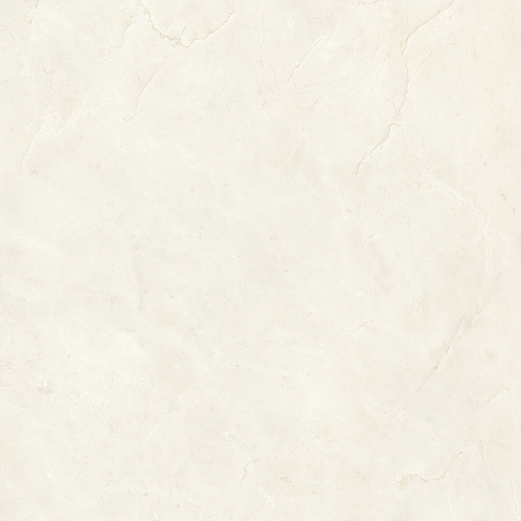 Tile Image