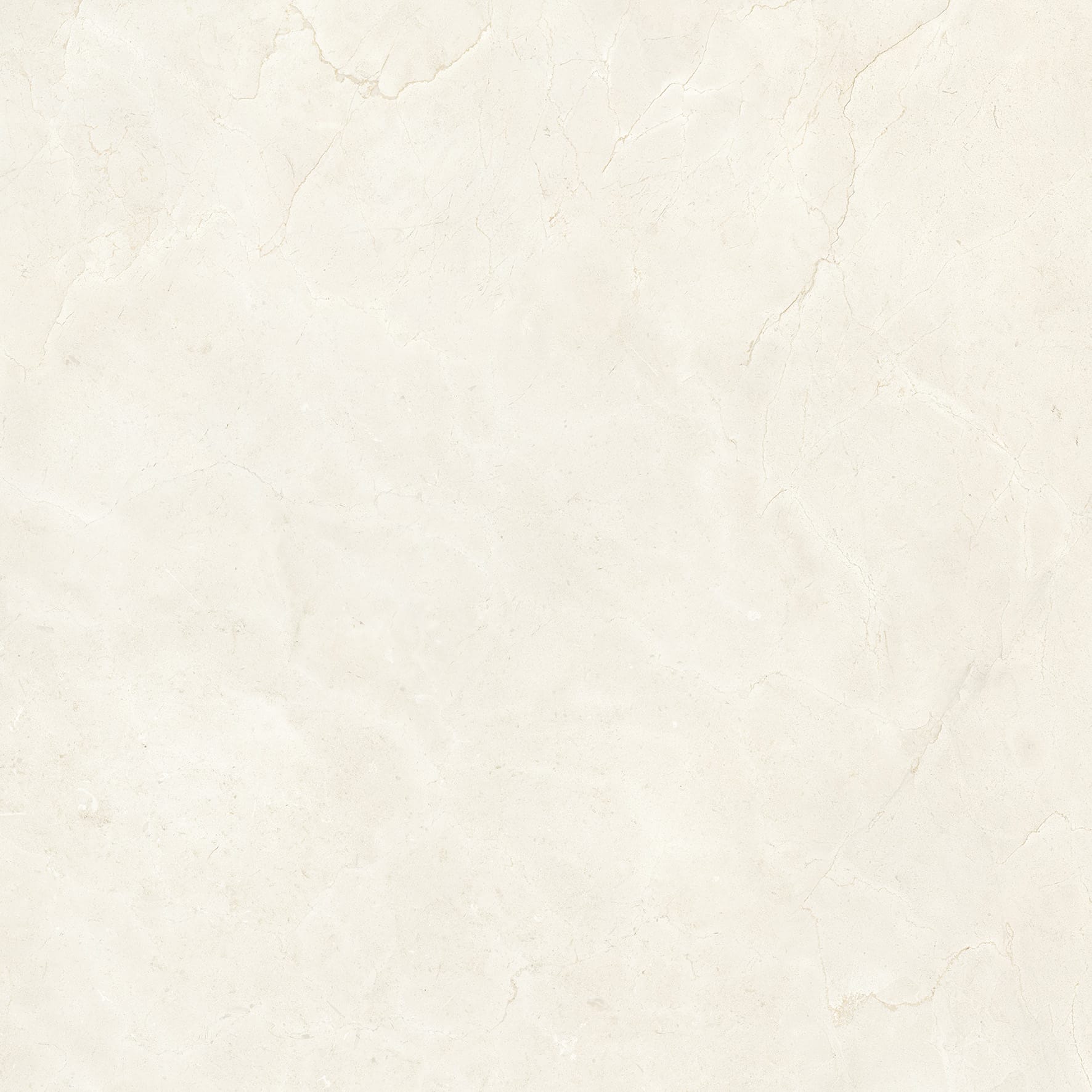 Tile Image
