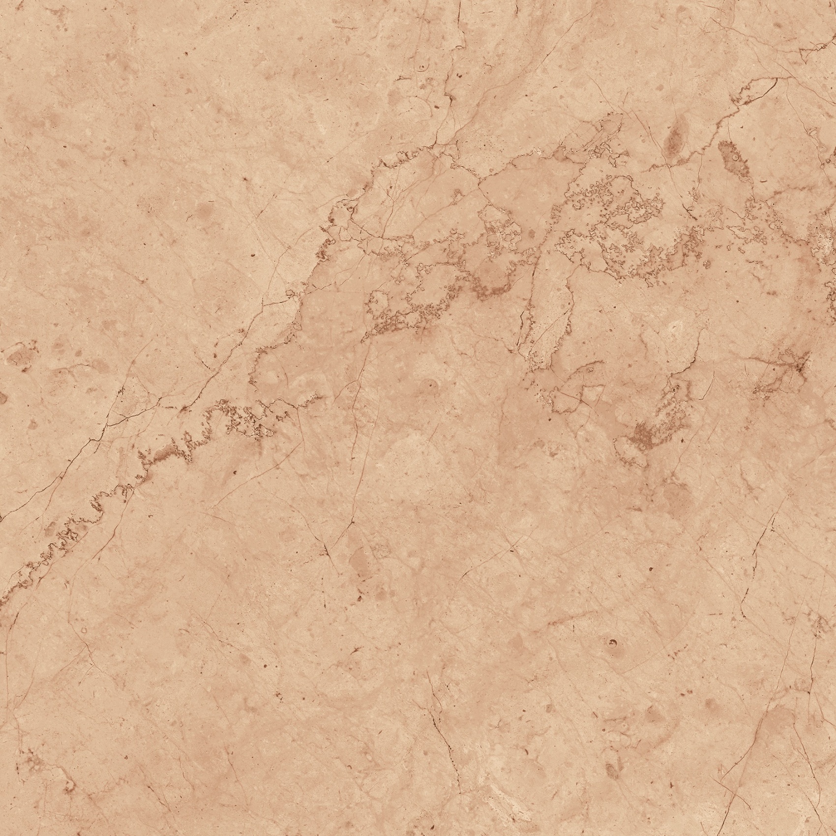 Tile Image