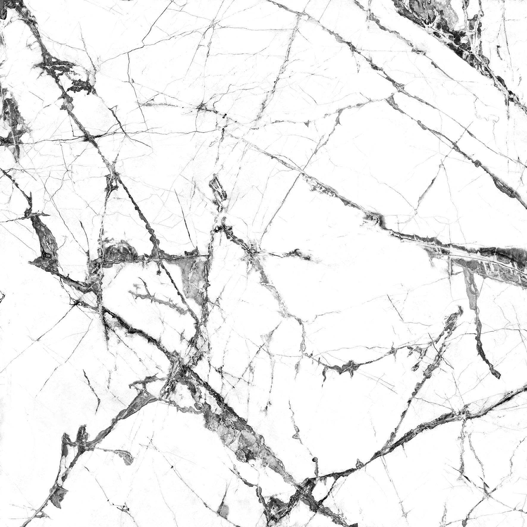 Tile Image
