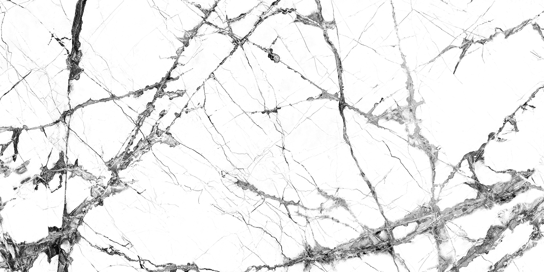 Tile Image
