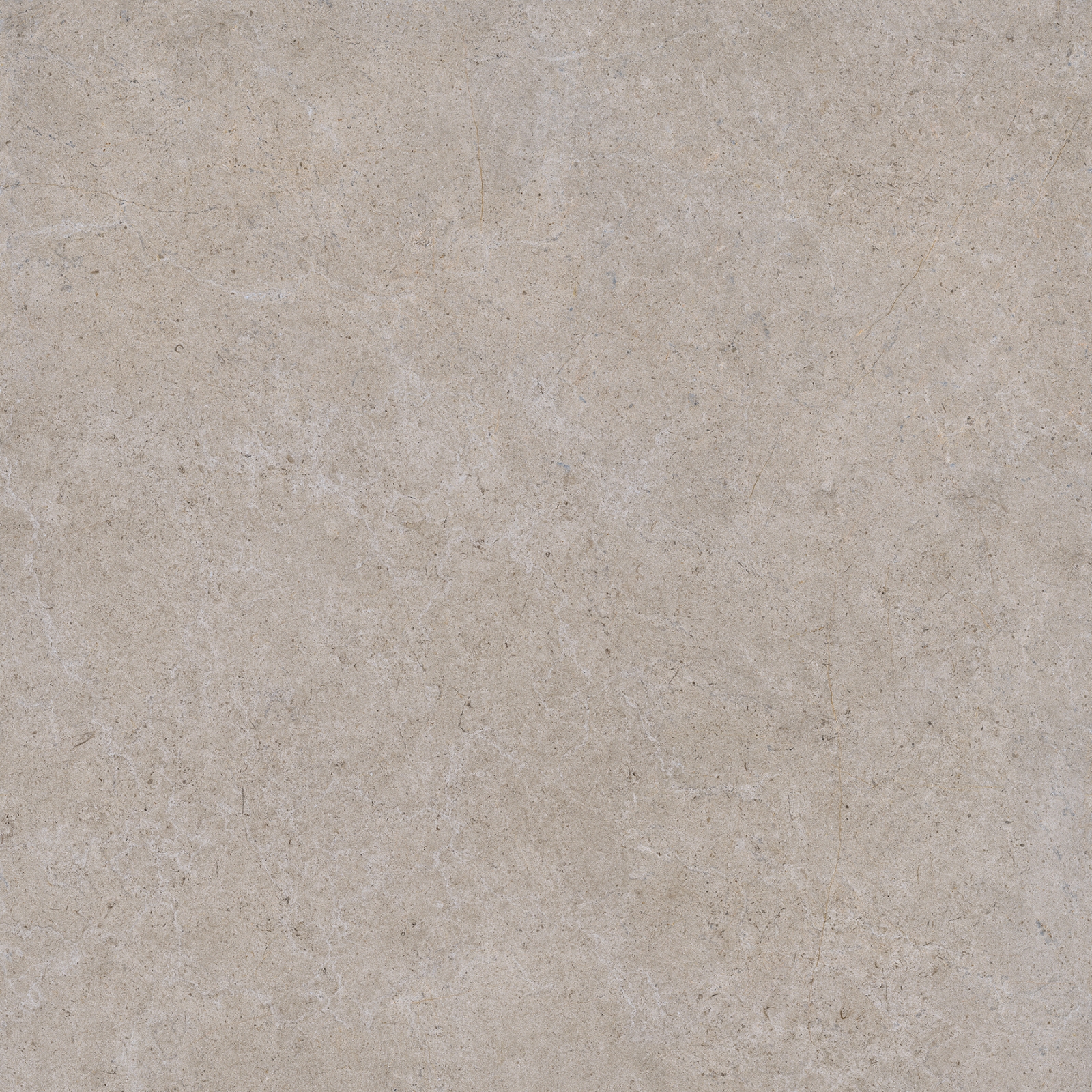 Tile Image