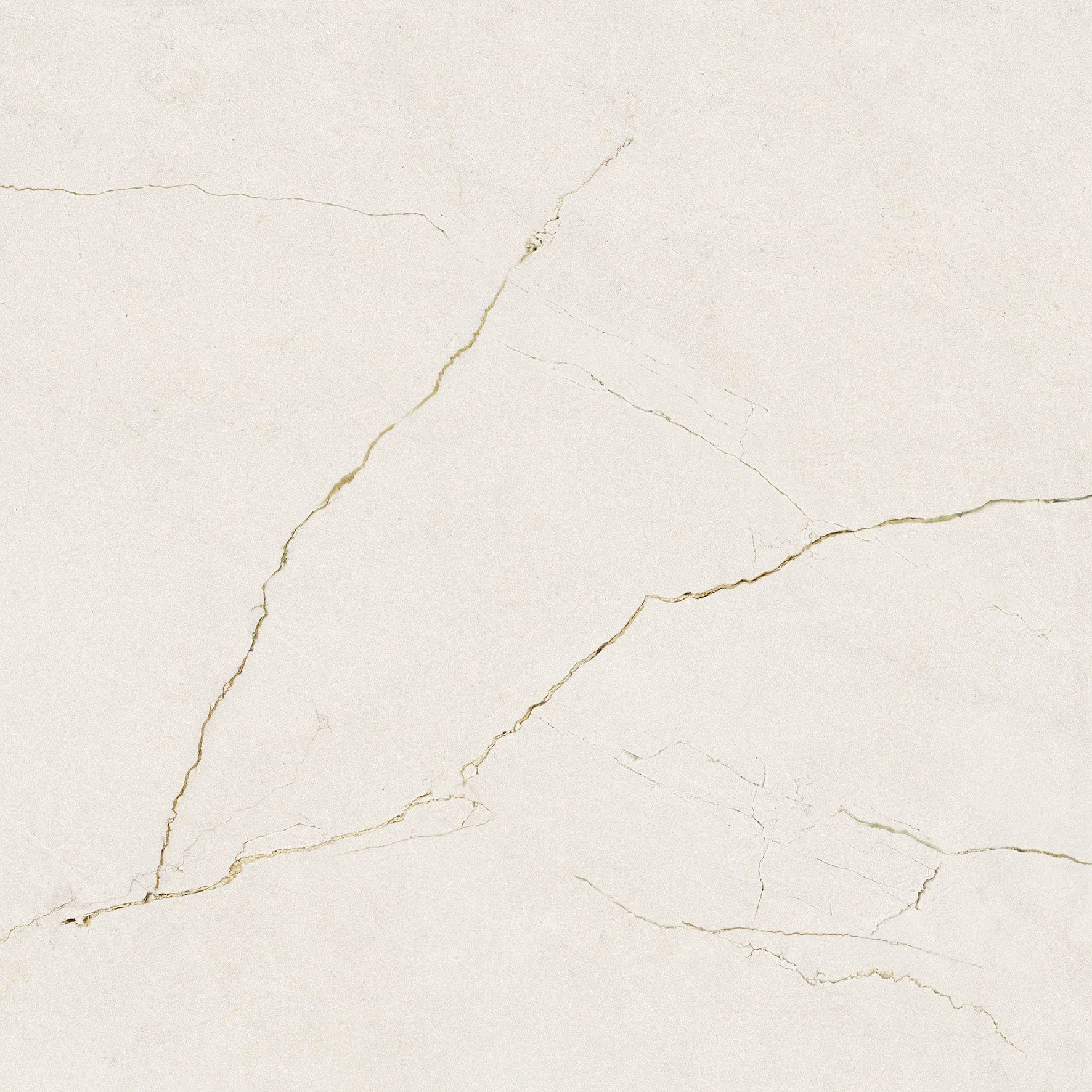 Tile Image