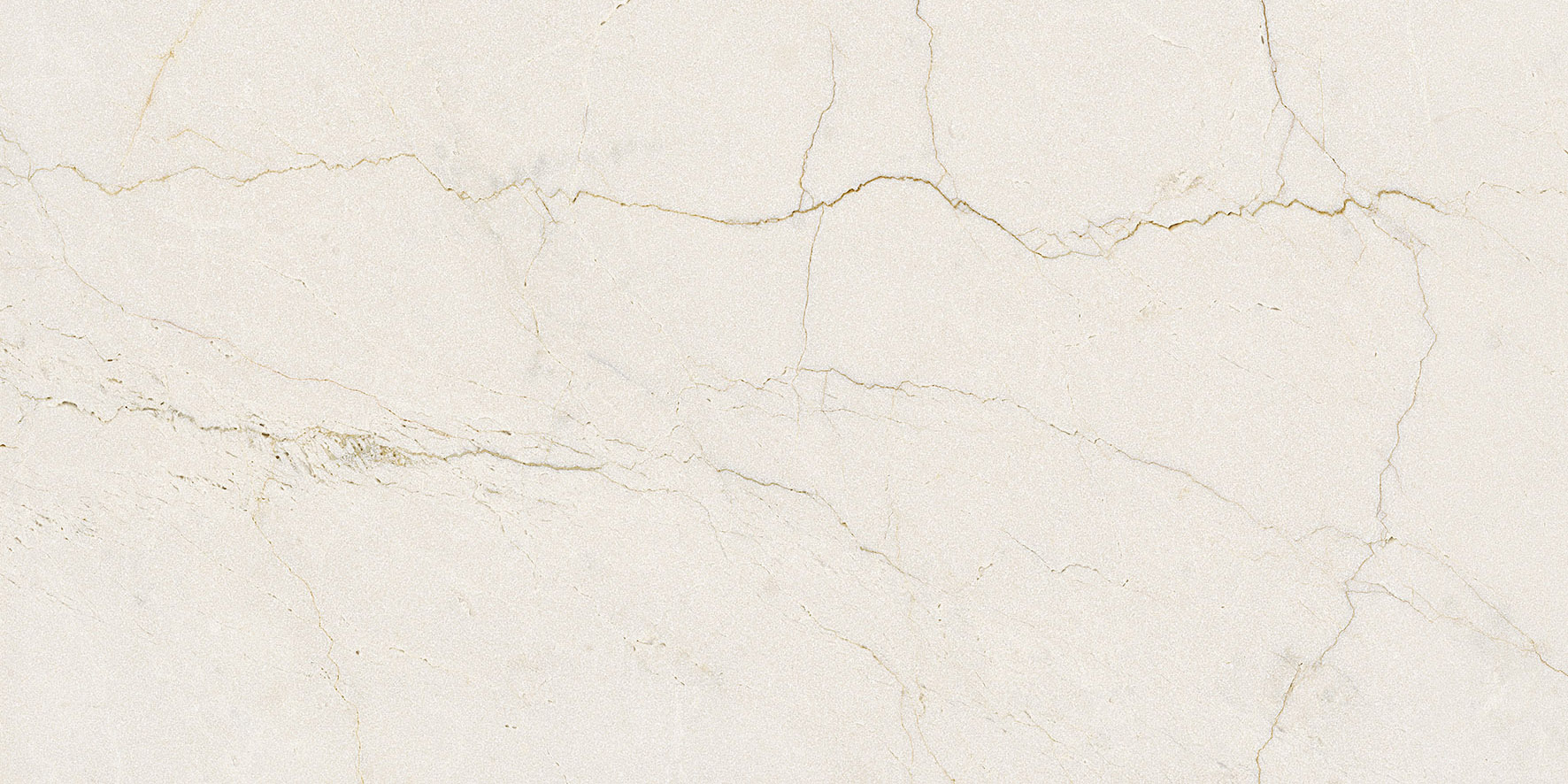 Tile Image