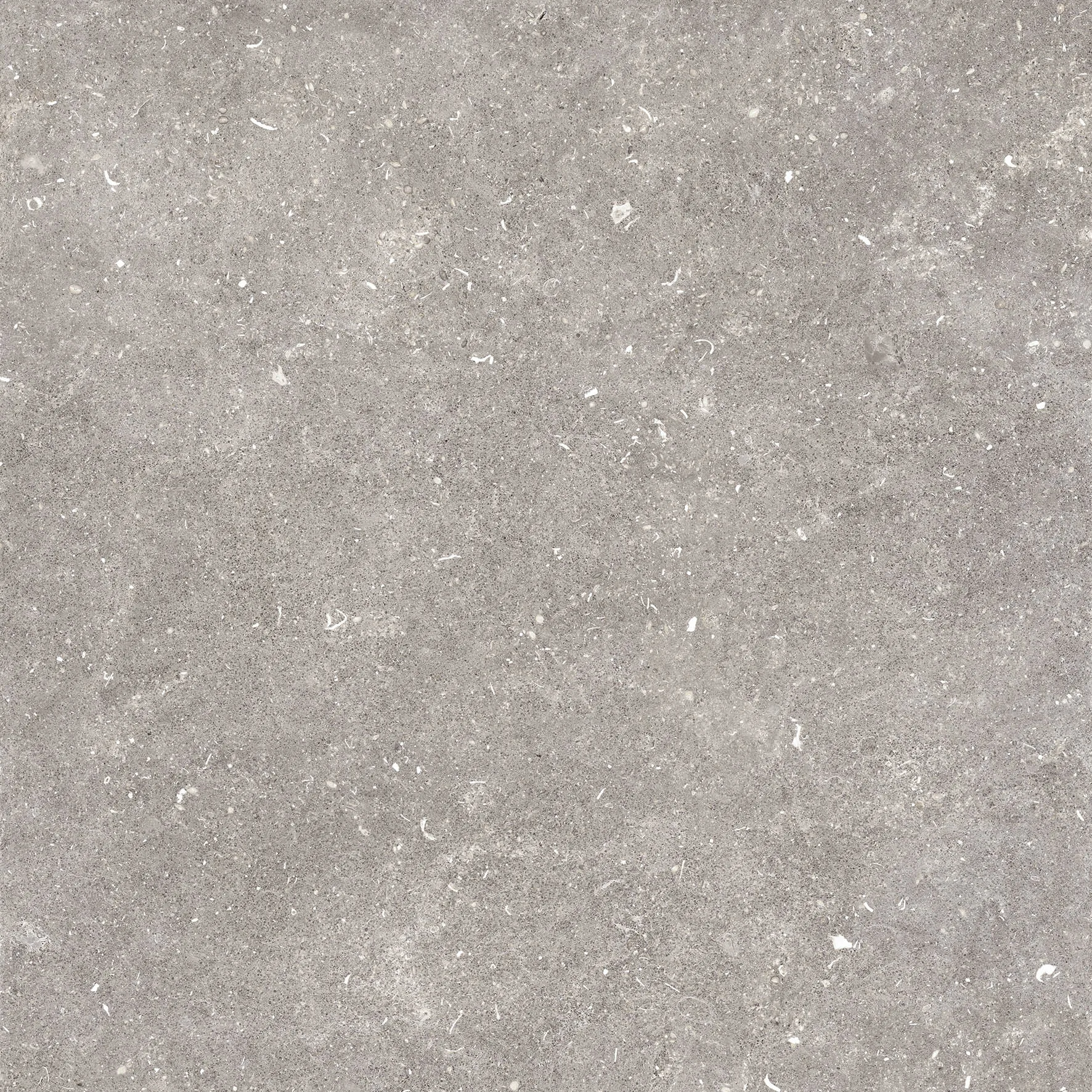 Dover Gris Mat - stone look floor and wall tile in grey, Pamesa