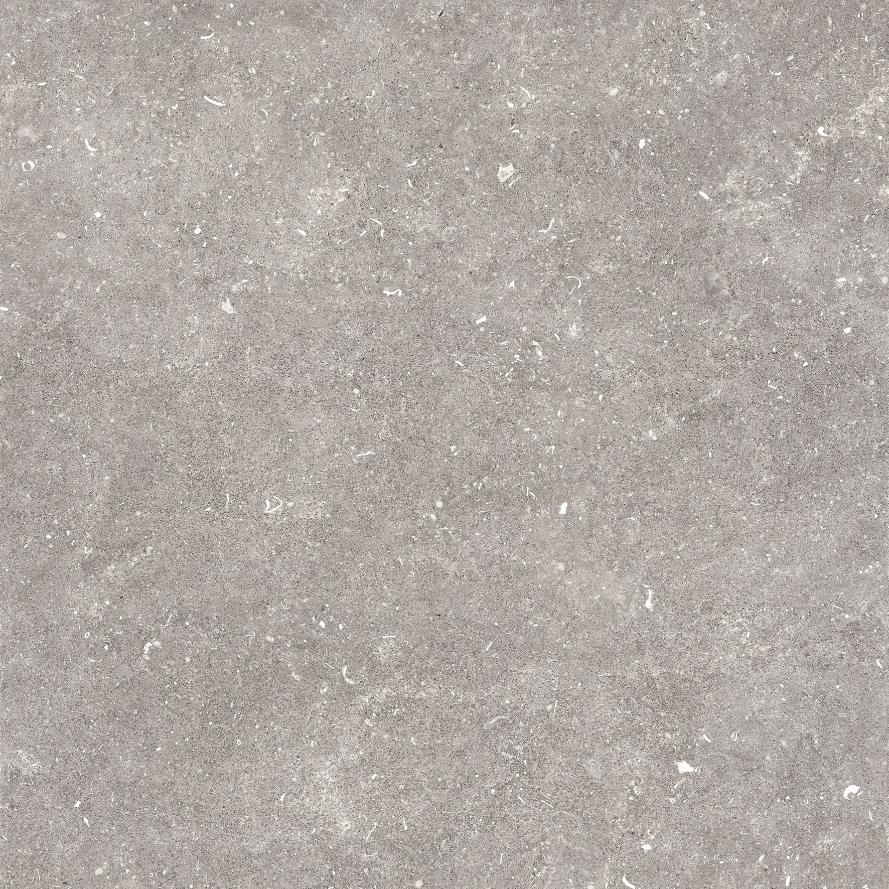 Tile Image