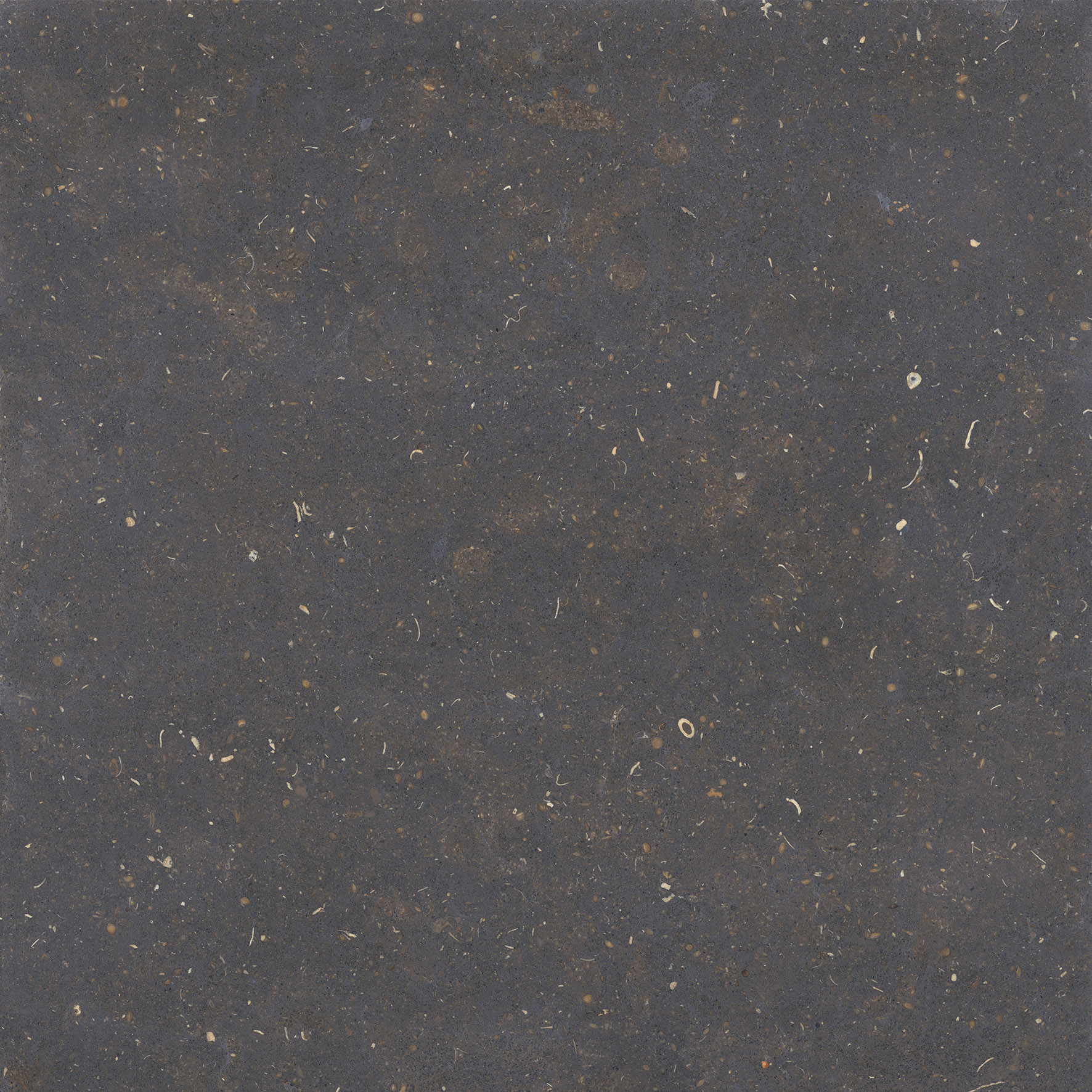 Tile Image