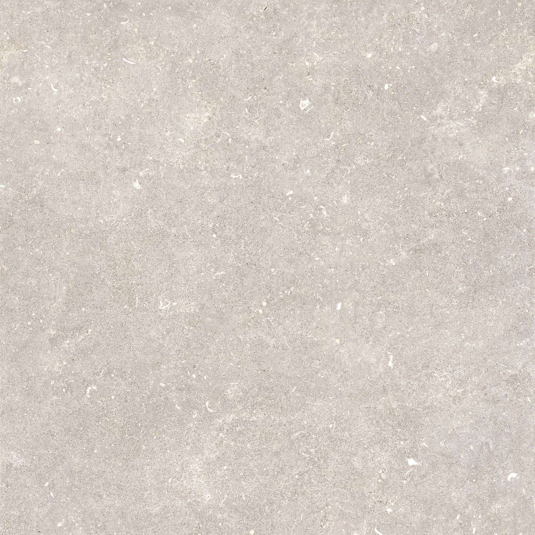 Tile Image