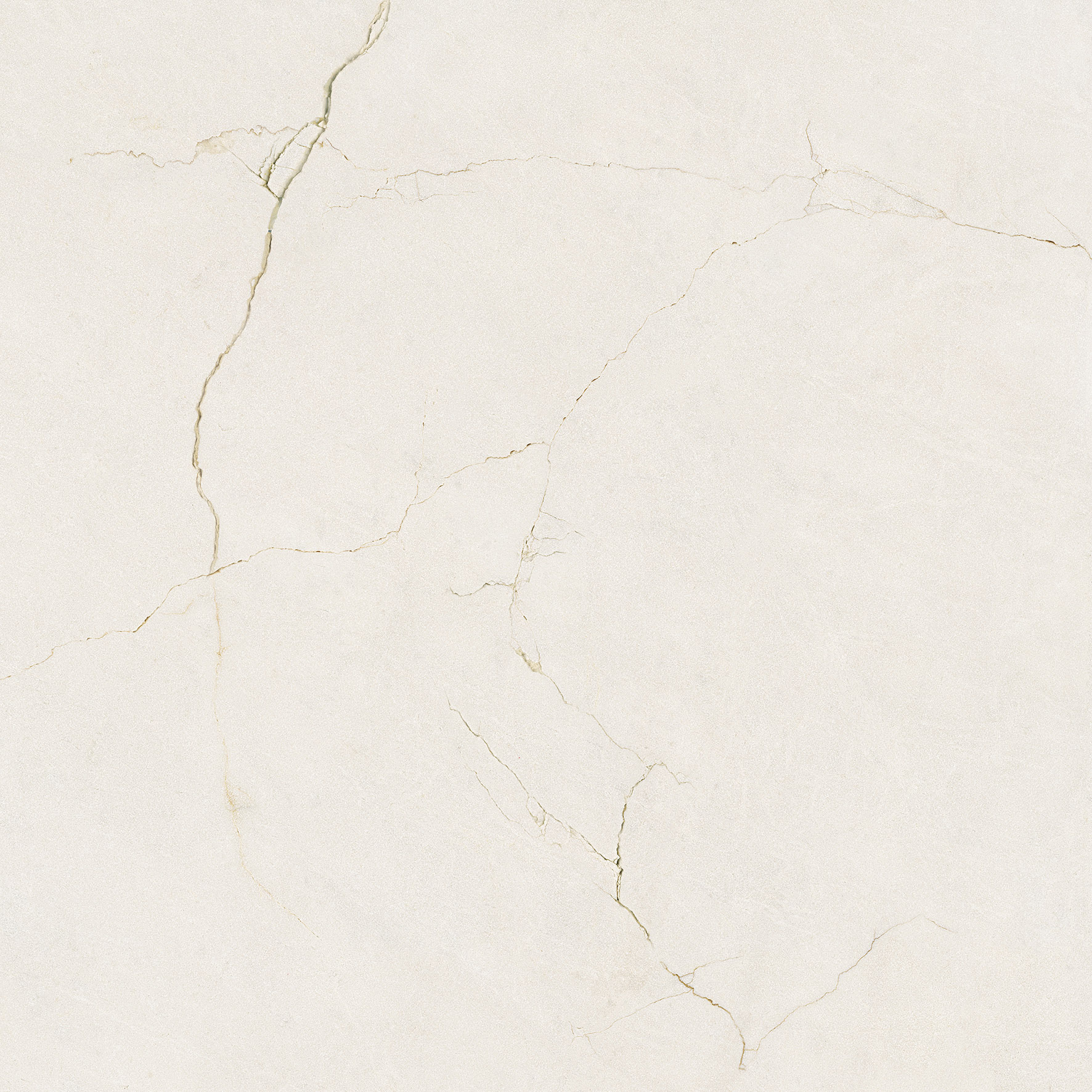 Tile Image