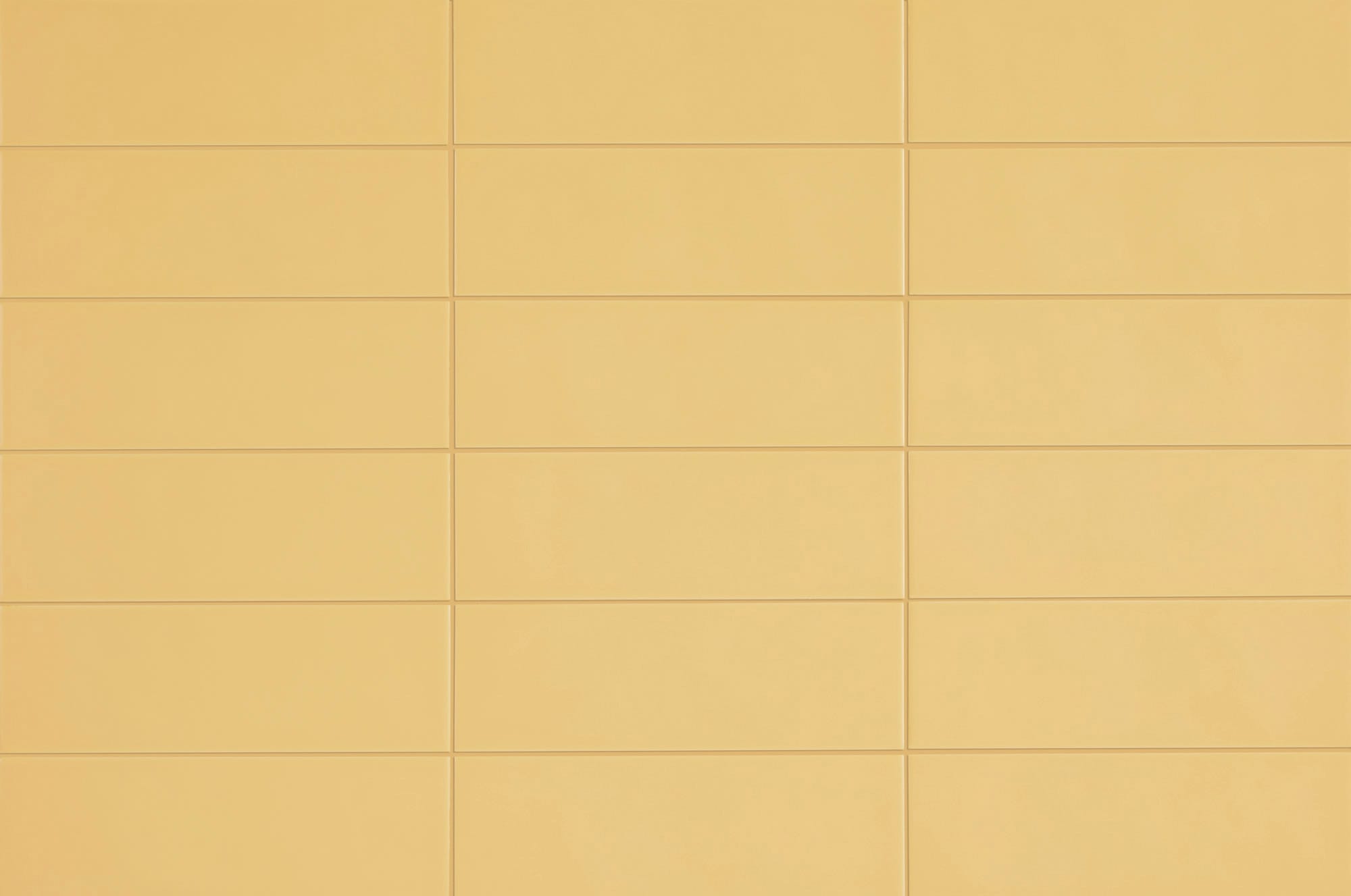 Chroma Ginkgo Yellow Matte