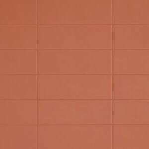 Chroma Misty Coral Matte