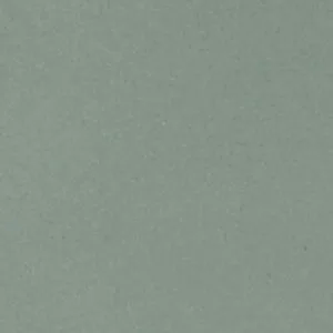 Detroit Green CI