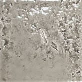Tile Image
