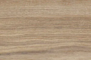 Bosco Castagno Natural (matte) - wood-look floor and wall tile in brown, Aleluia
