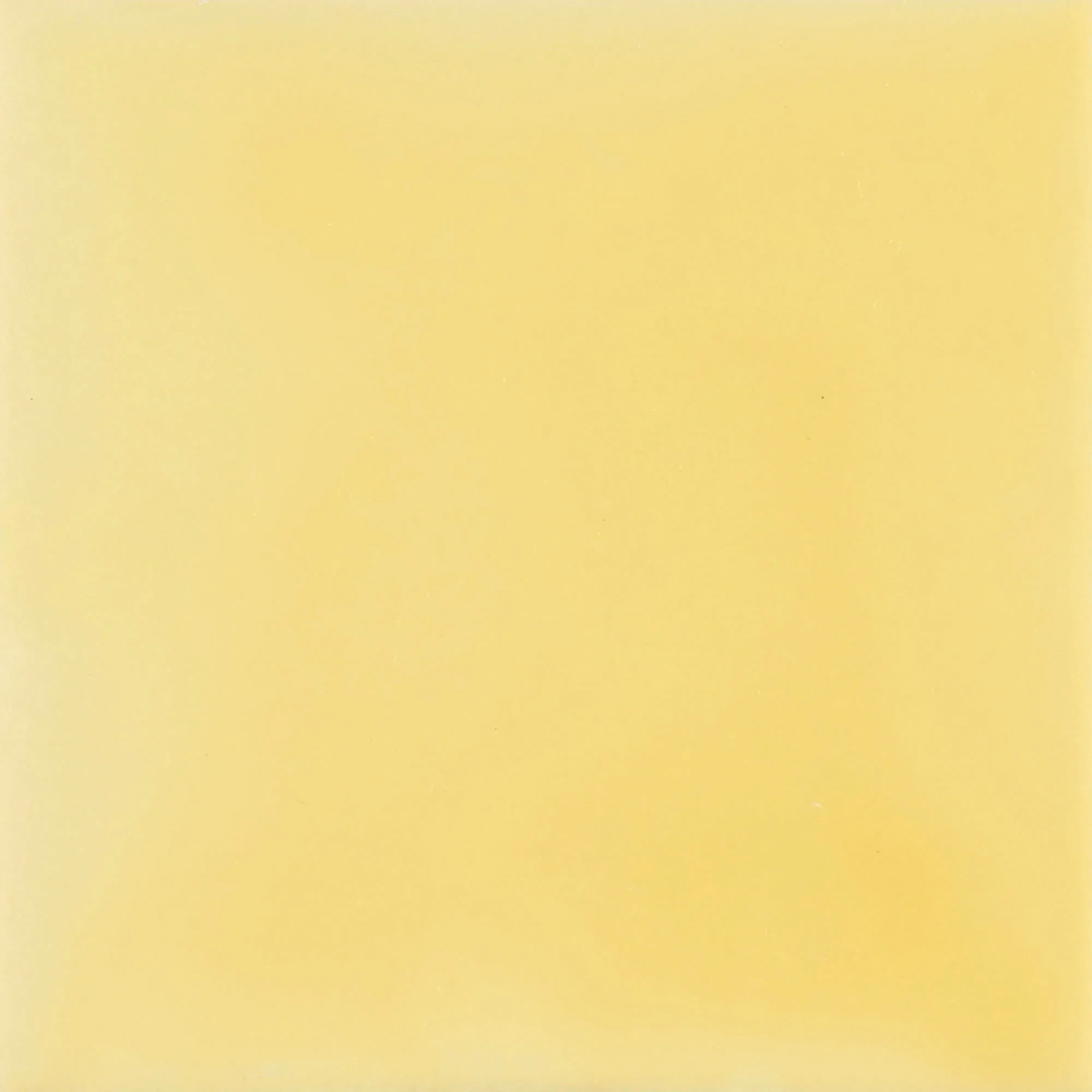 Urban Atelier Camomila Glossy - color & design look wall tile in yellow, Aleluia