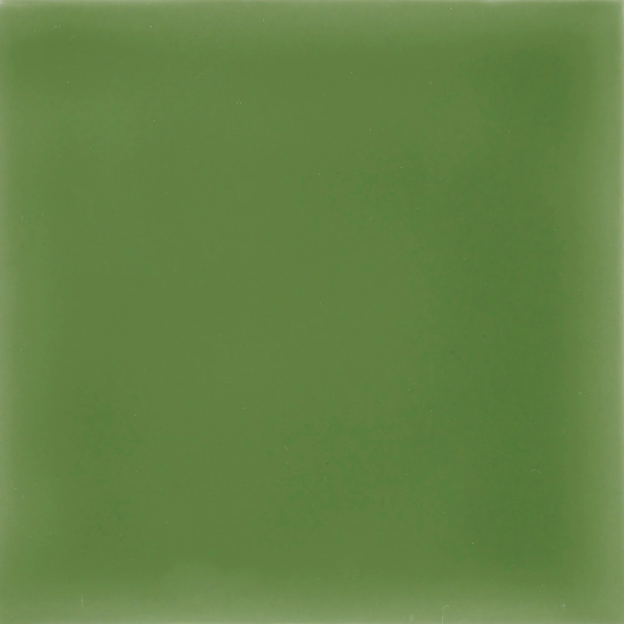 Urban Atelier Menta Glossy - color & design look wall tile in green, Aleluia