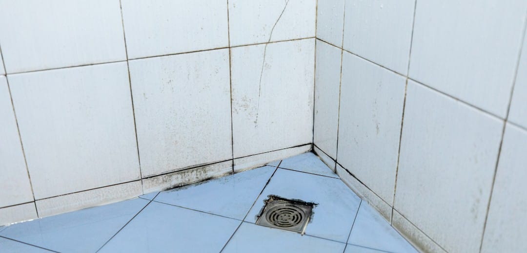 Schimmel in de badkamer verwijderen uit de voegen langs de douche